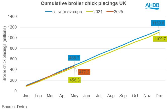 Broiler chick placings 